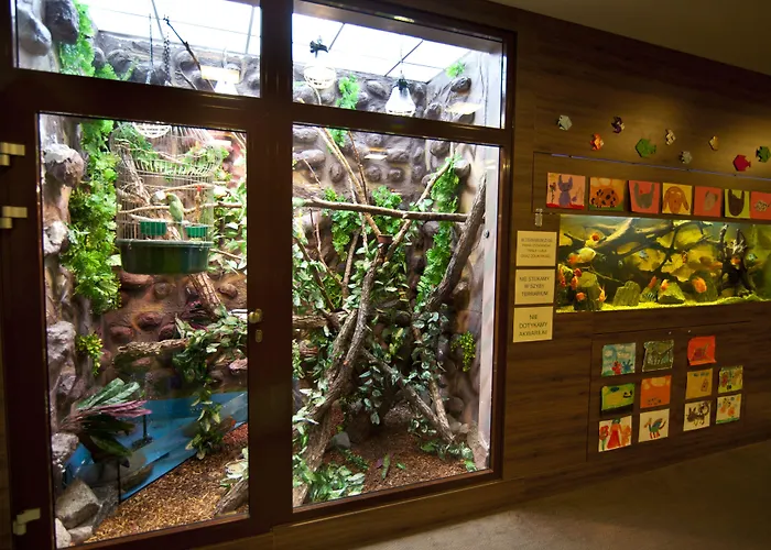 Imperiall & Medispa Hotel Ustronie Morskie